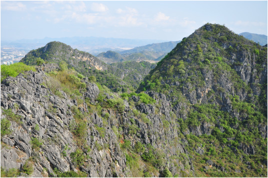 Outlook of an open, shrubby vegetation on limestone hills around the Wenshan Basin..jpg