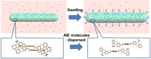 Proposed mechanism of polymer/AIE microwire for organic vapor sensing