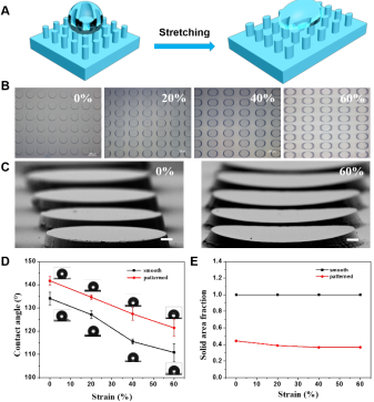SMP mold shows robust abilities in shape deformation and recovery.png