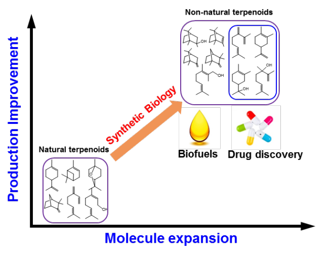 Synthesis of non-natural terpenoids.png