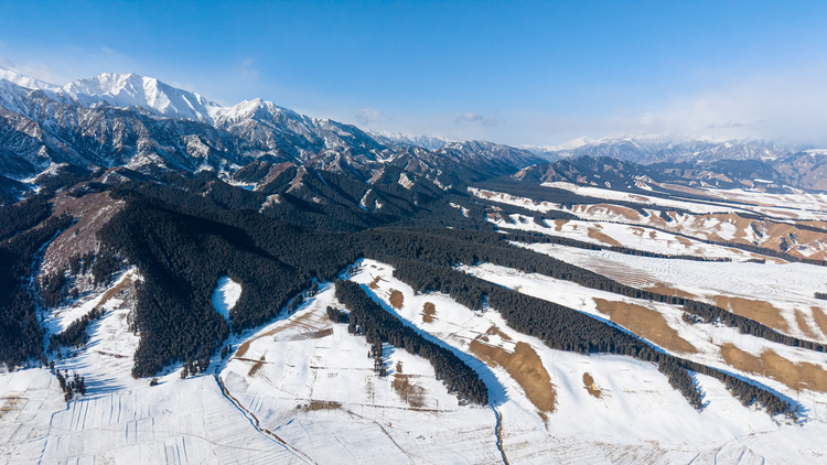 New Study Helps Trace How Microplastics Transport on 