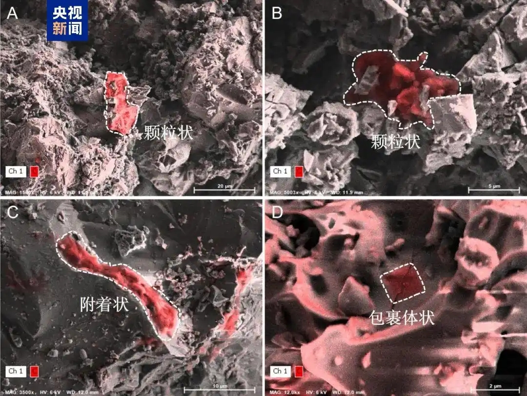 月面土壌の「タイムカプセル」から太陽系有機進化を解明（Lunar Soil ‘time capsule’ Reveals Organic Evolution in Solar System）