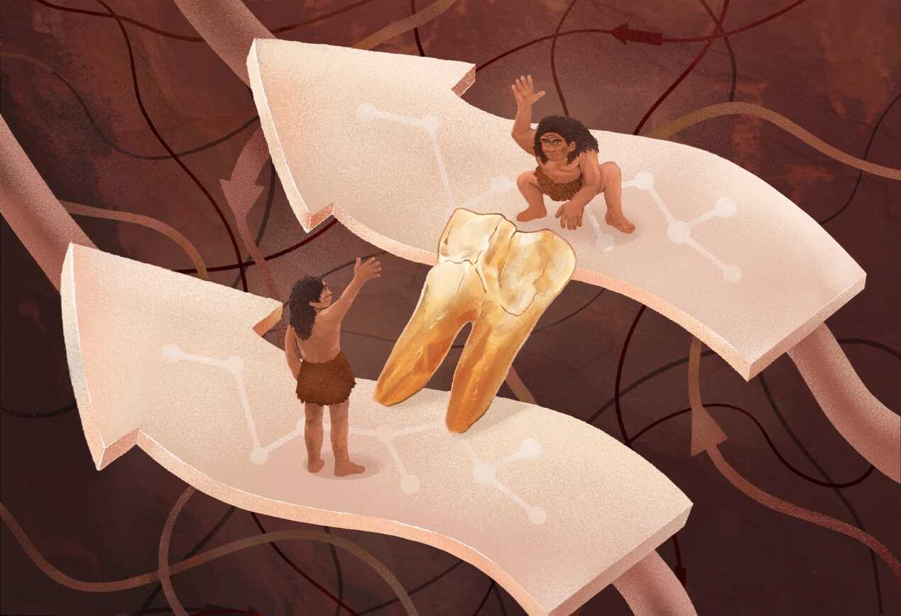 Ancient Tooth Proteins Rewrite Human Evolution Story