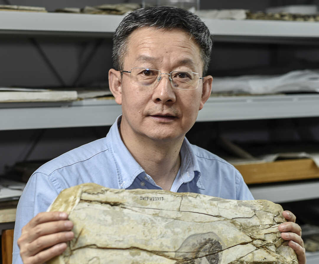 Chinese Paleontologist XU Xing Elected Foreign Fellow of Royal Society of London