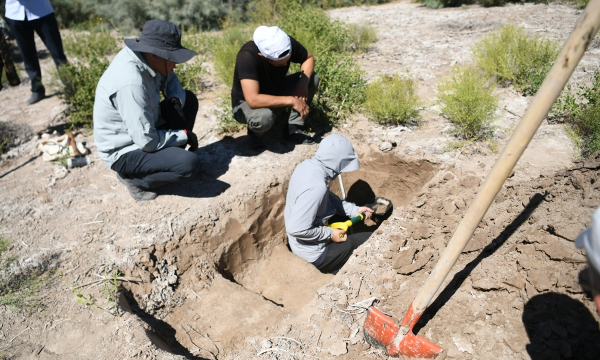 Chinese Technology Aids Recovery of 'Dry Tears' of Central Asia