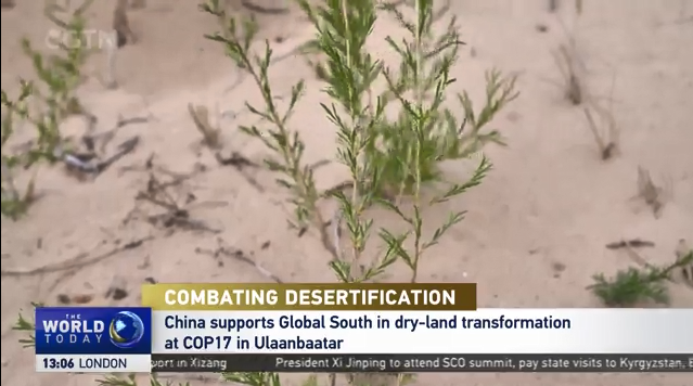 Combating Desertification: China Supports Global South in Dry-land Transformation at COP17 in Ulaanbaatar