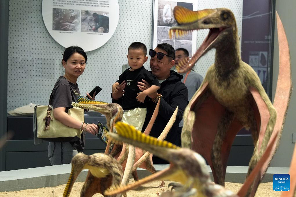 World's First Museum Devoted to Prehistoric Flying Reptiles Opens in NW China's Xinjiang