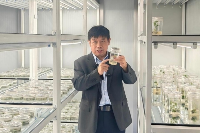 China's Tech Strategy for Preserving Precious Black Soil Farmland