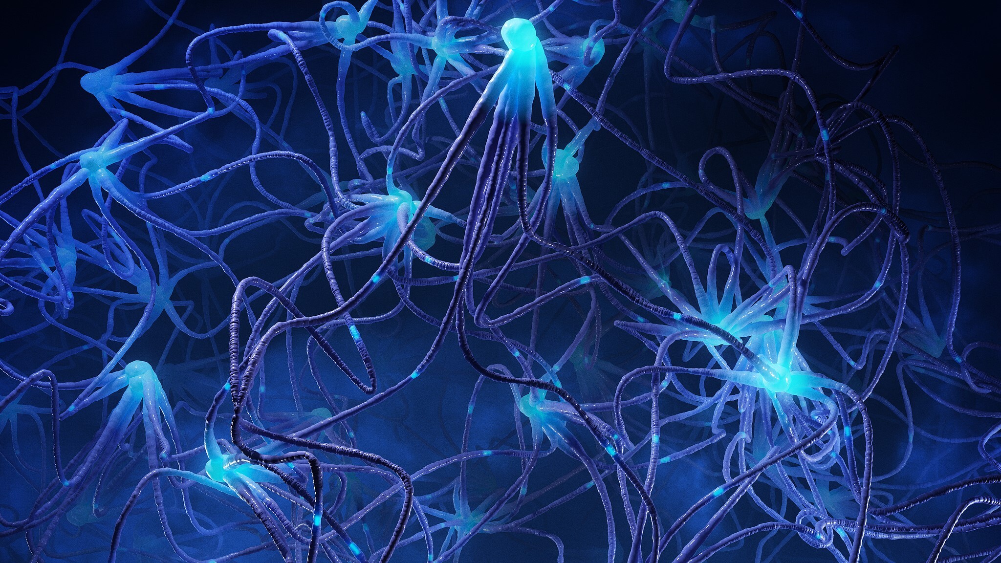 Single Brain Cells Work Like Tiny Computers, Chinese Study Finds, with Lessons for AI
