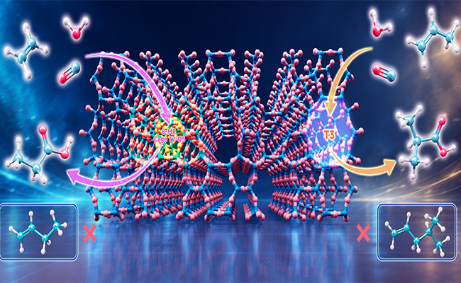 Chinese Scientists Revolutionize Carbonylation with Zeolite Catalysts
