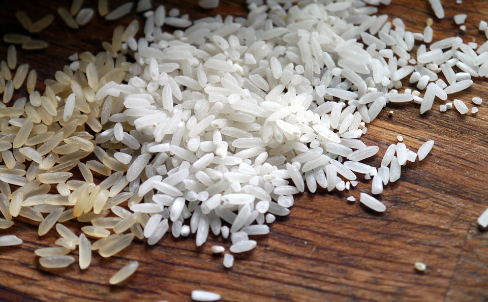 Chinese Researchers Develop Database for Rice Molecular Breeding