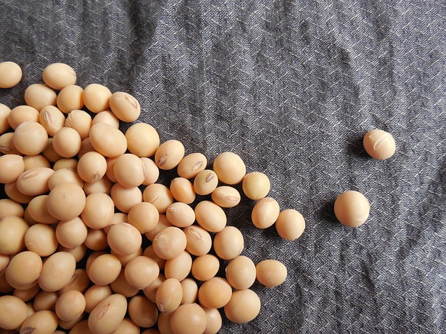Chinese Researchers Construct High-quality Soybean Genome