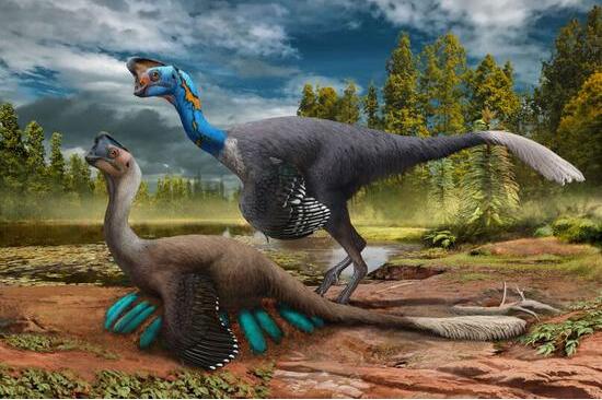 Rare Dinosaur Fossils Found in East China