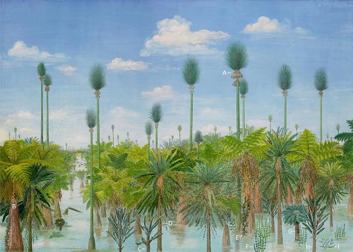 Scientists Discover Tree Fossils Dating Back 300 Million Years in North China