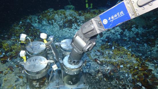 Chinese Researchers Study Deep-sea Life by In-situ Experiments