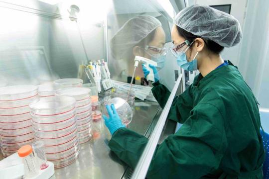 A technician of Beijing-based biotech company EdiGene processes cell samples at the company's lab in Beijing. (Photo/China Daily)