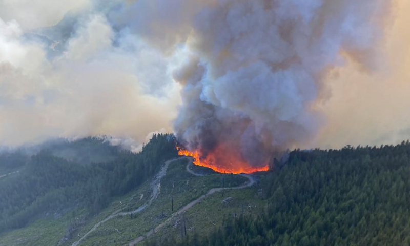 Canadian Wildfires Have Caused Astonishing Global Damage, Chinese Scientists Warn