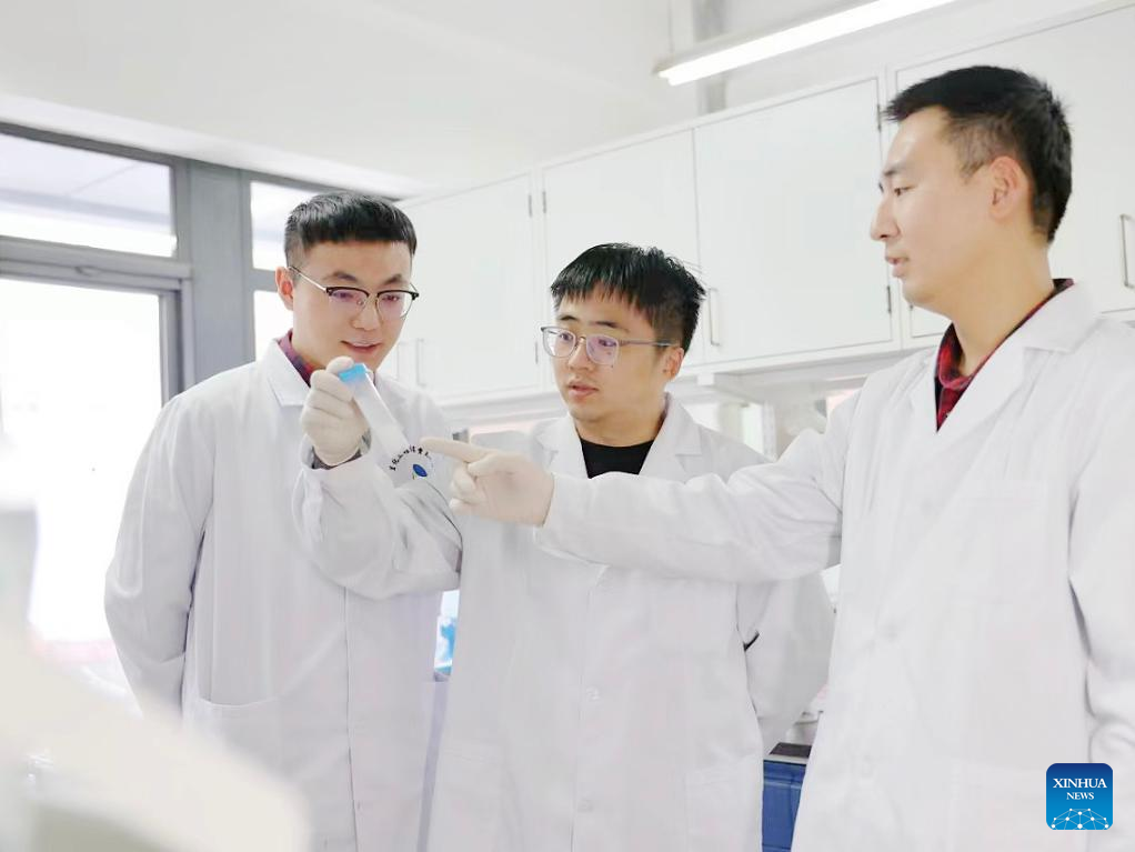 This photo taken on Nov. 14, 2022 shows researchers observing experimental samples at a laboratory in Beijing, capital of China.(Institute of Process Engineering/Handout via Xinhua)