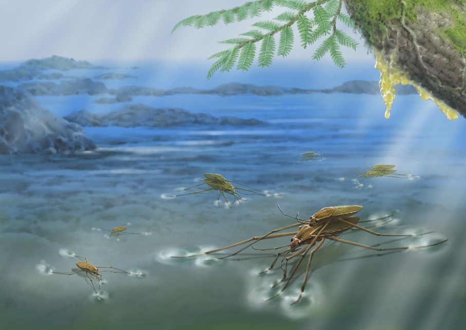 group mating in Cretaceous water striders.jpg