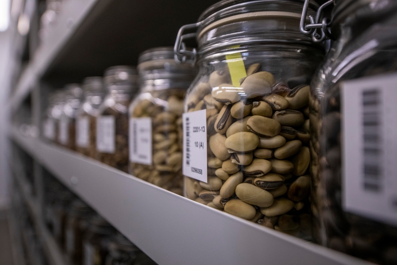 Asia's Largest Wildlife Seed Bank Preserves over 11,000 Plant Species