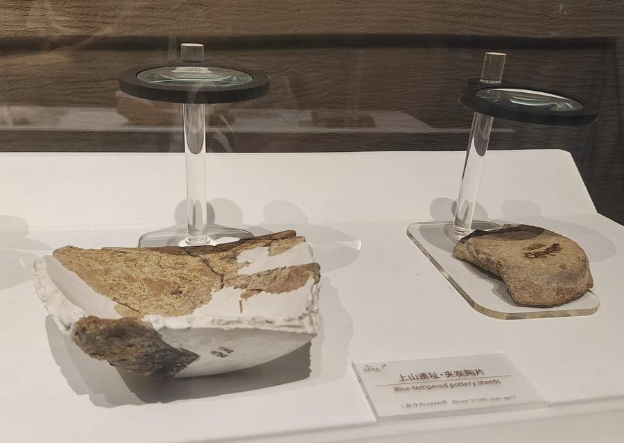 Traces of 10,000-year-old Rice Beer Found in East China