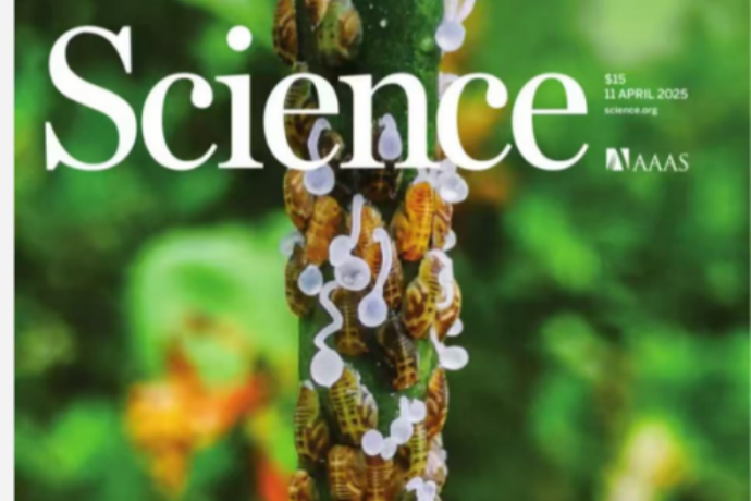 Scientists Discover Key to Fighting Citrus 