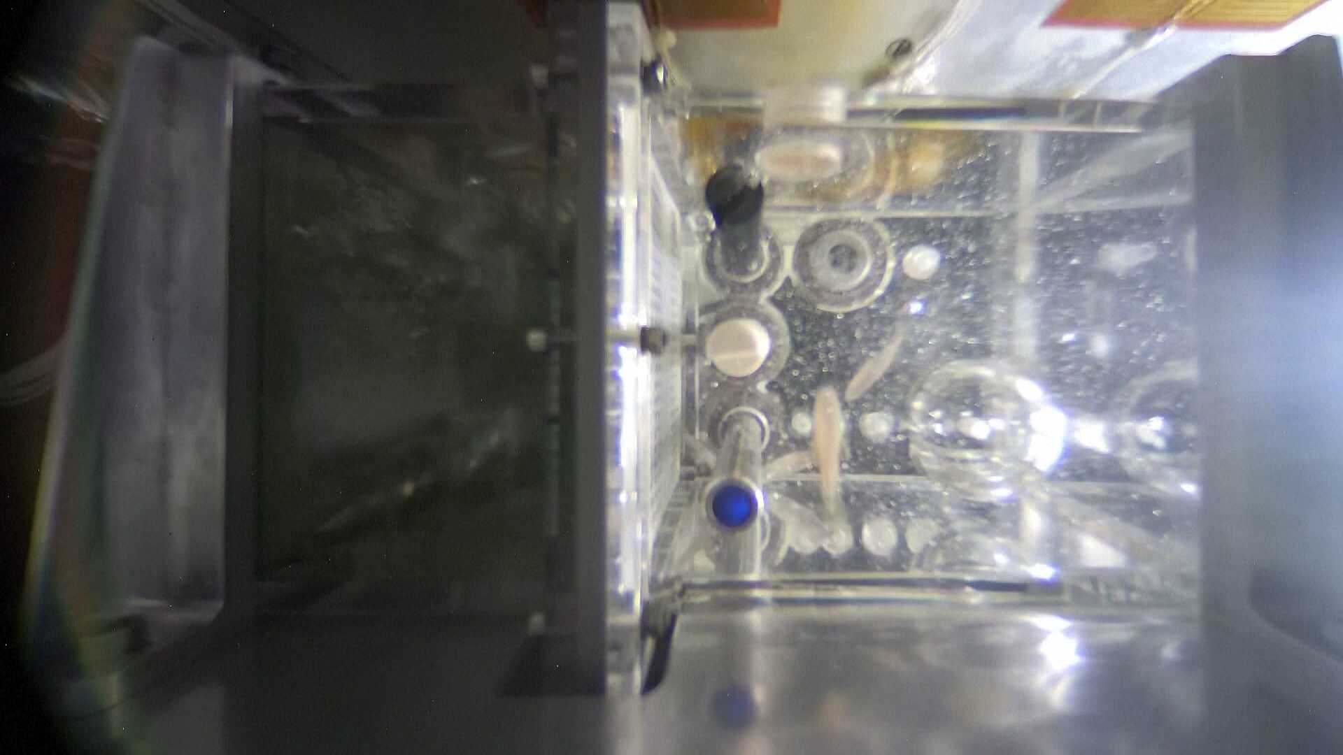 China's Shenzhou-20 Crew to Conduct Three New Life Science Experiments in Space Station