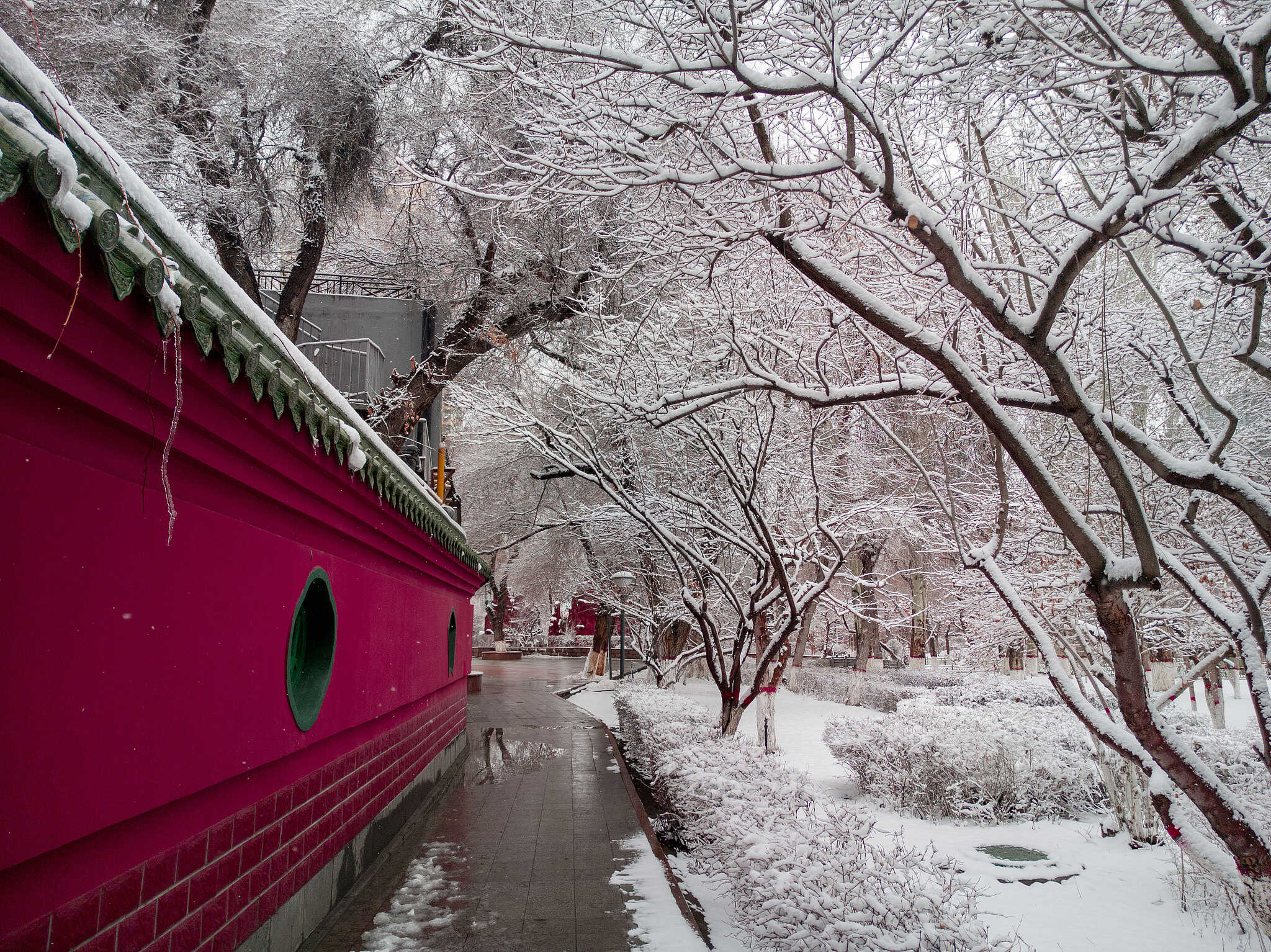 Climate Change Intensifies Snow Droughts: Study