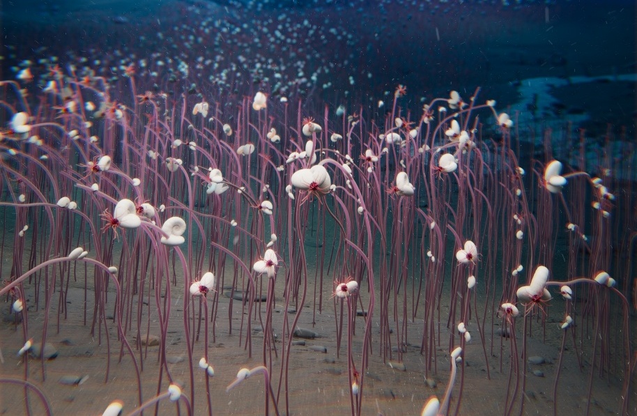 Researchers Discover Chemosynthetic Life in Extreme Depths of Hadal Trenches