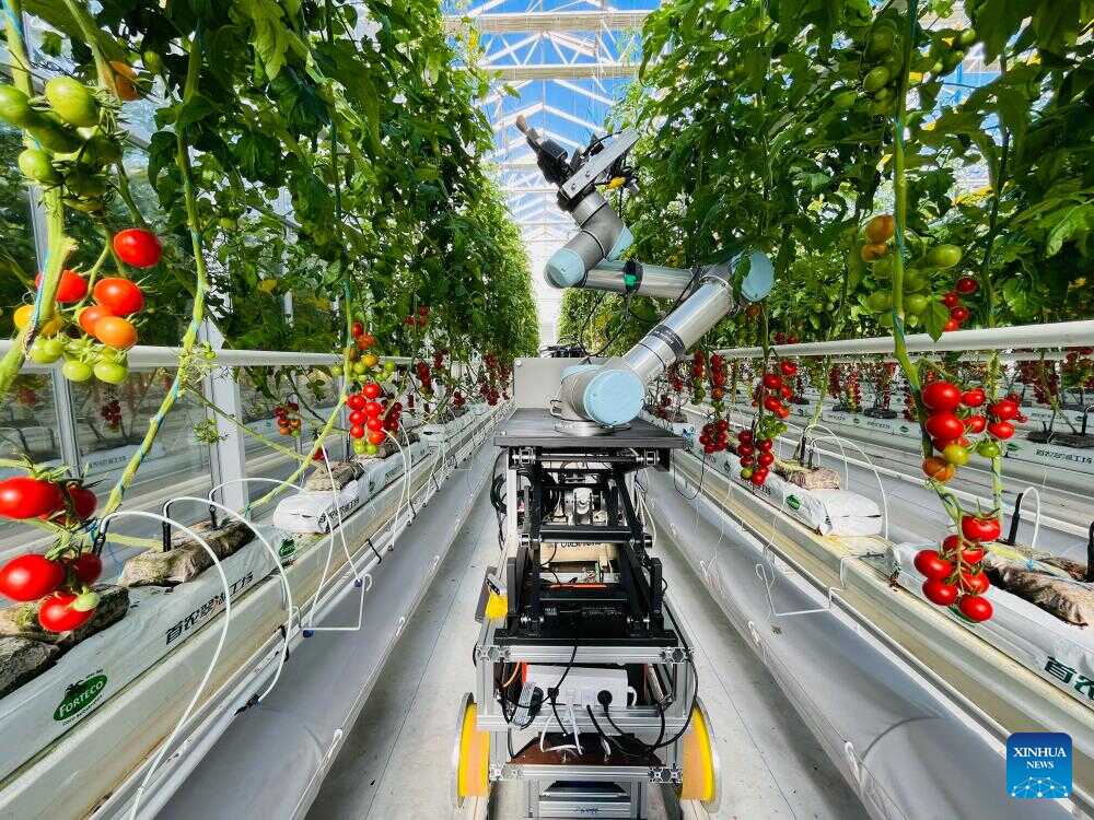 Chinese Researchers Develop World's First AI-Based Breeding Robot for Hybrid Pollination
