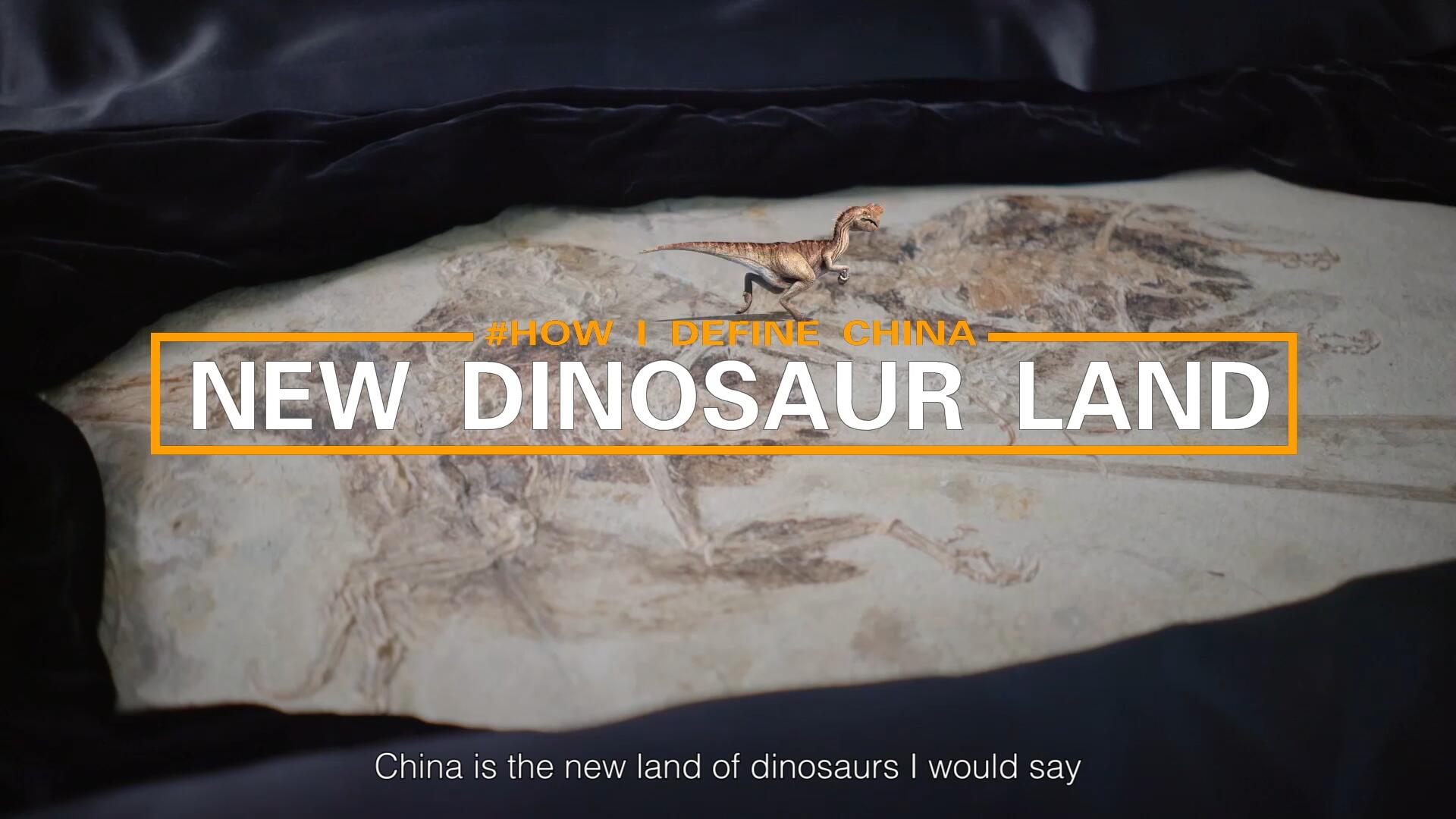How I Define China: New Dinosaur Land