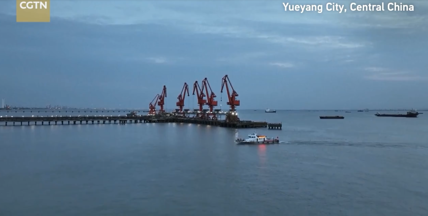 Yangtze Finless Porpoise Scientific Survey Concludes