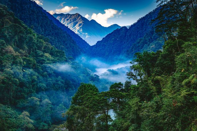 Safeguarding Biodiversity Wonderland in Southwest China