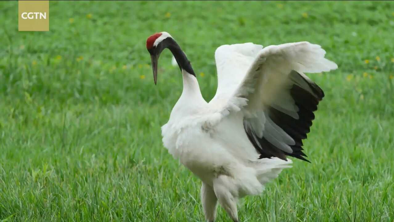 UNESCO Official Hails China's Biosphere Reserves As 'global model'