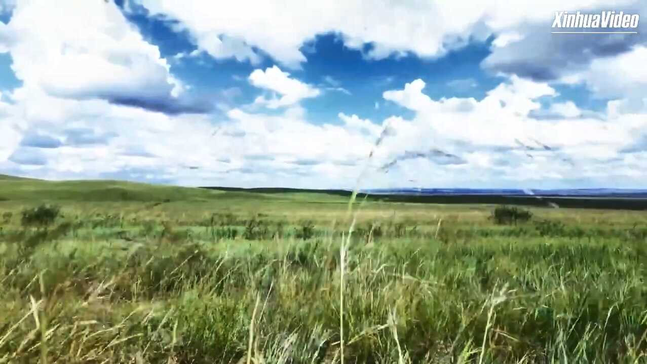 Decoding the Green: China's Living Lab for Grassland Restoration