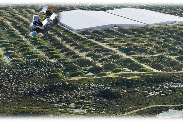 LHAASO Reveals Micro-quasars as Powerful Particle Accelerators