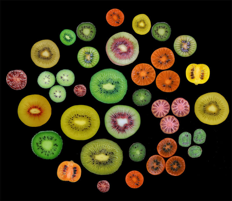 Key Genes Regulating Vitamin C Synthesis Revealed in Kiwifruit