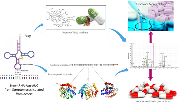 Chinese Researchers Discover New Bacterial tRNA Species