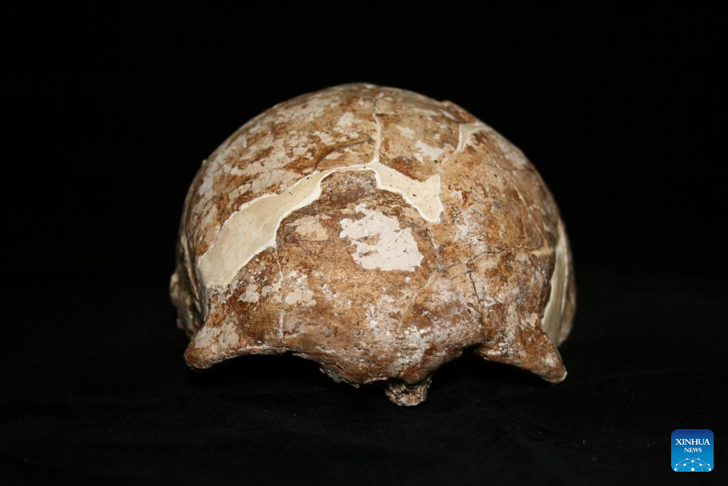 Chinese Scientists Sequence Genome of 14,000-yr-old Human