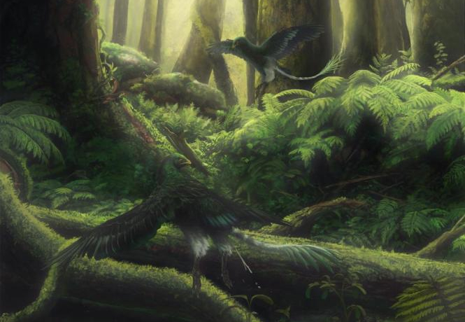 Fossil Reveals Earliest Evidence of Birds Eating Fruit and Dispersing Seeds