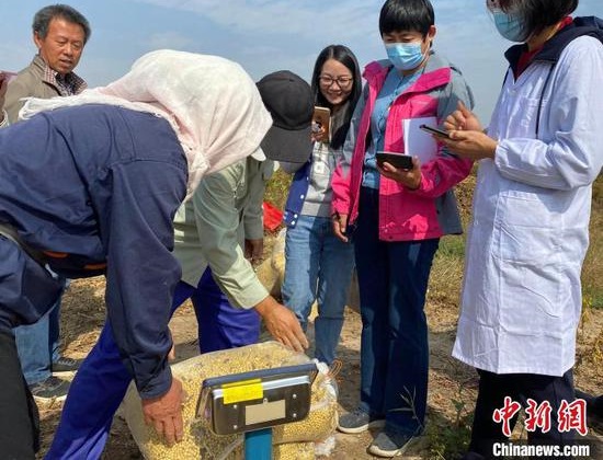New Salt-tolerant Soybean Strain Completes Harvest Tests, Lifting Crop Output