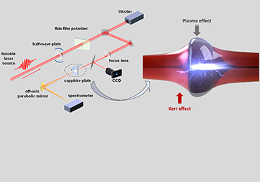 Neural network Quantifies P-integral in Solids