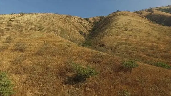 Enclosures Promote Hydrological Function and Services in Savannas