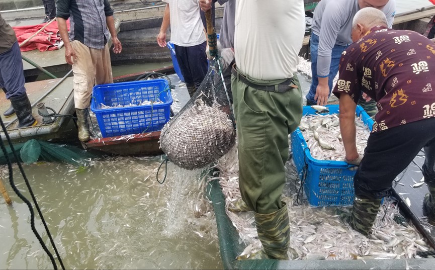 Unselective Fishing Could Reduce Fish Diversity and Homogenize Assemblage Structure in Lakes