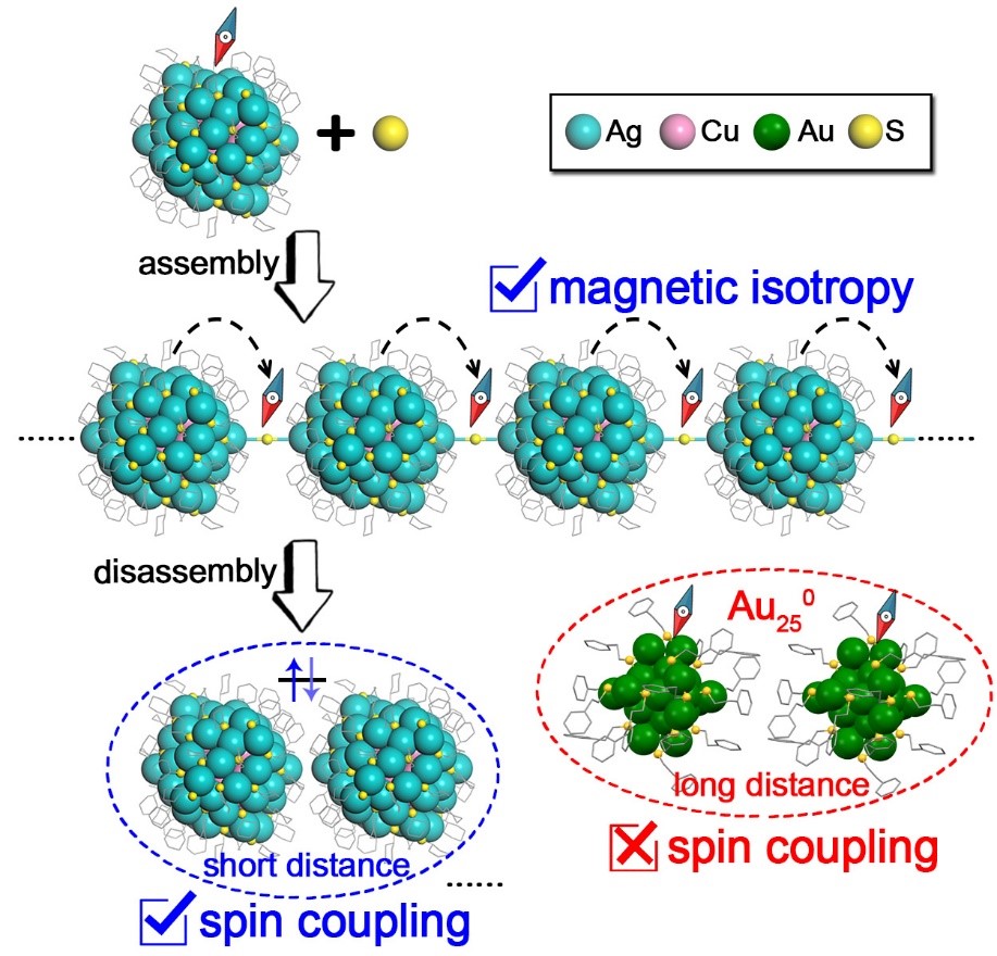 Researchers Find Spin Transfer and Distance-dependent Spin Coupling in Linearly Assembled Ag-Cu Nanoclusters
