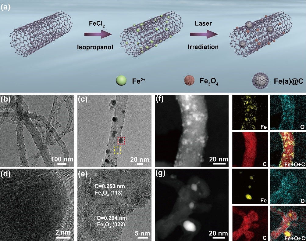 Study Realizes Ambient Electrosynthesis of Urea with Nitrate and Carbon Dioxide over Iron-based Dual-sites