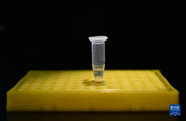 Chinese Scientists Achieve <EM>De Novo</EM> Artificial Synthesis of Hexoses from CO<SUB>2</SUB>