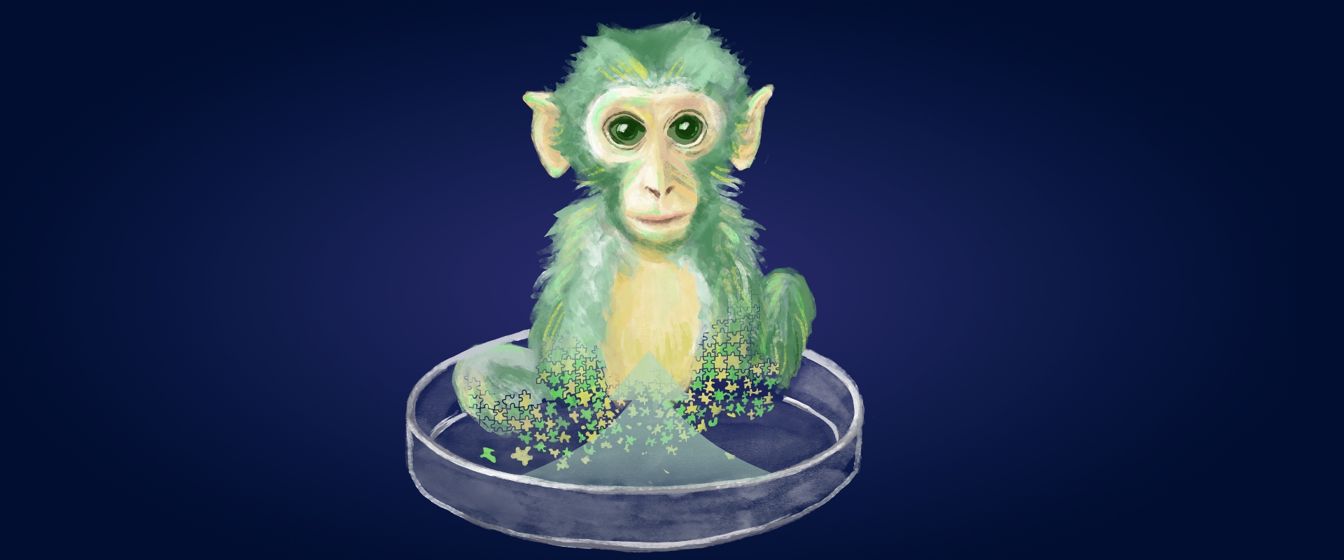 Researchers Generate Live-birth Chimeric Monkey Using Embryonic Stem Cells