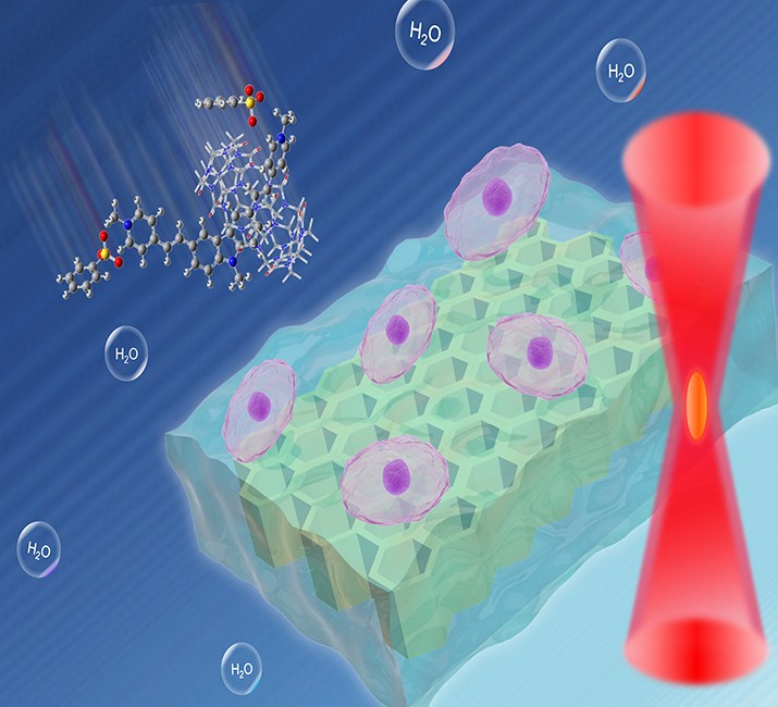 Researchers Obtain Anion Ionic Water-soluble Two-photon Initiator for Three-dimensional Hydrogels Construction