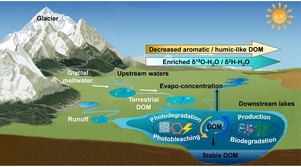 How Dissolved Organic Matter Composition Respond to Hydrological Processes in Watershed of the Largest Lake on Tibetan Plateau?